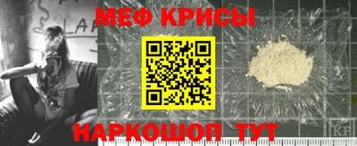 apvp Кингисепп