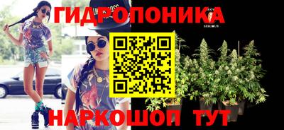 PSILOCYBIN Кимры