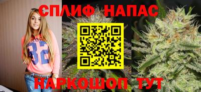 apvp Кингисепп