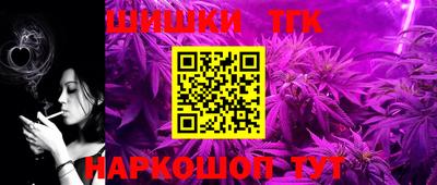 apvp Кингисепп