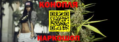 apvp Кингисепп