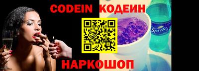 apvp Кингисепп