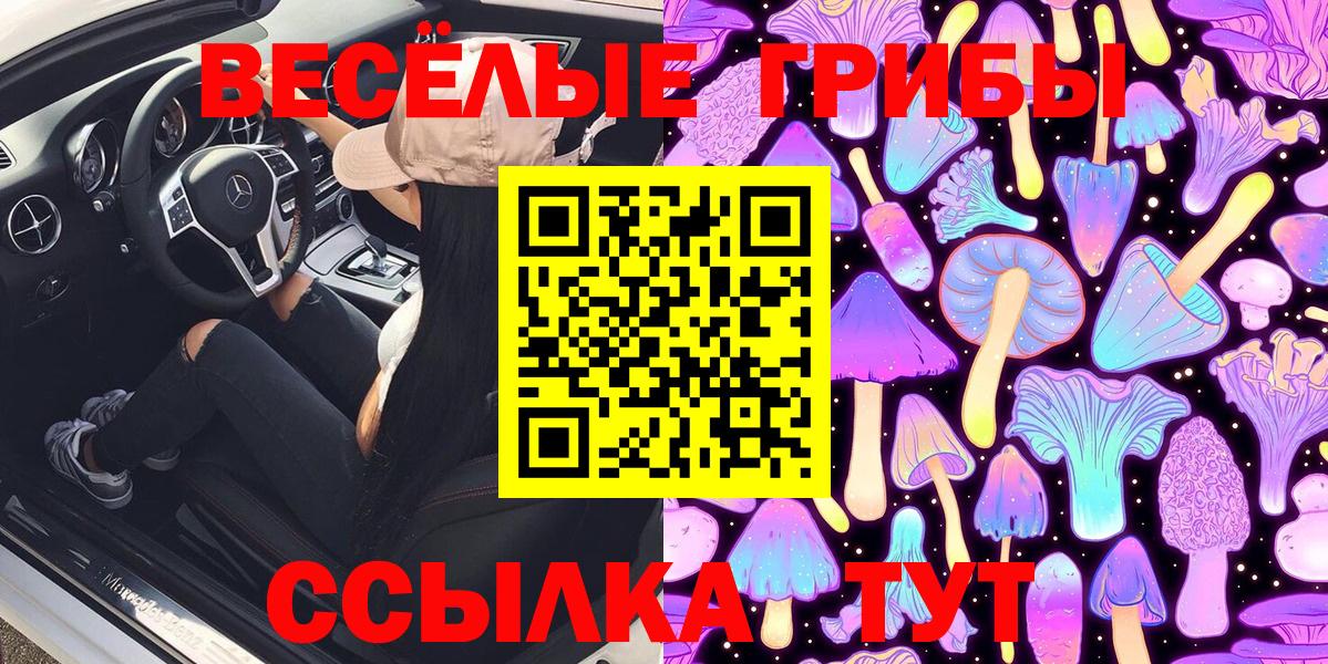 Псилоцибиновые грибы прущие грибы Кубинка