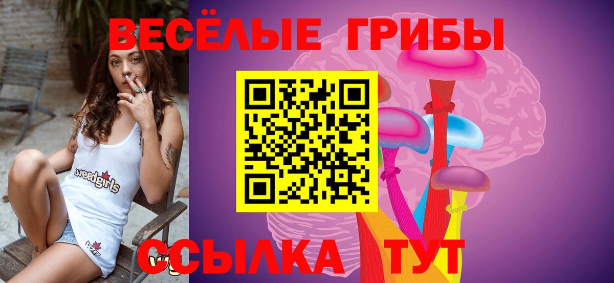 Кубинка  как найти наркотики  Вход с VPN  Галлюциногенные грибы ЛСД  Галлюциногенные грибы Psilocybe 